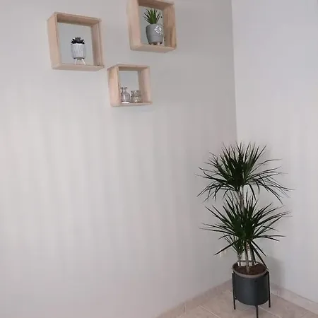Apartment Superbe De 65m2 A 6061 Montignies-sur-sambre *